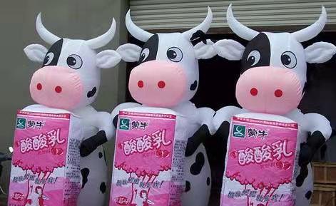 自贡牛奶厂广告气模